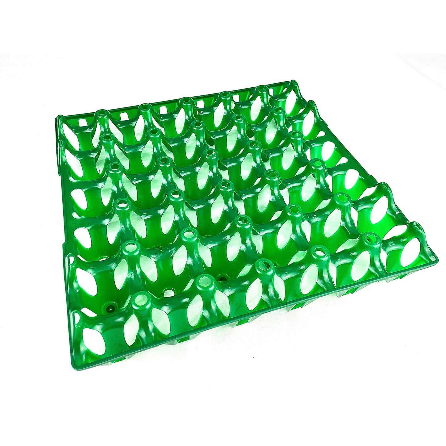 BEC Egg Tray