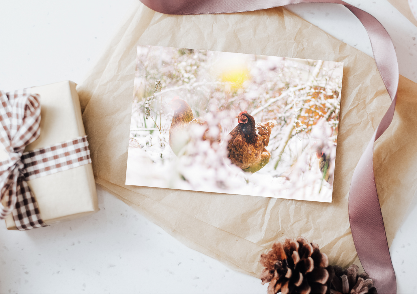 BHWT Christmas Cards 2025