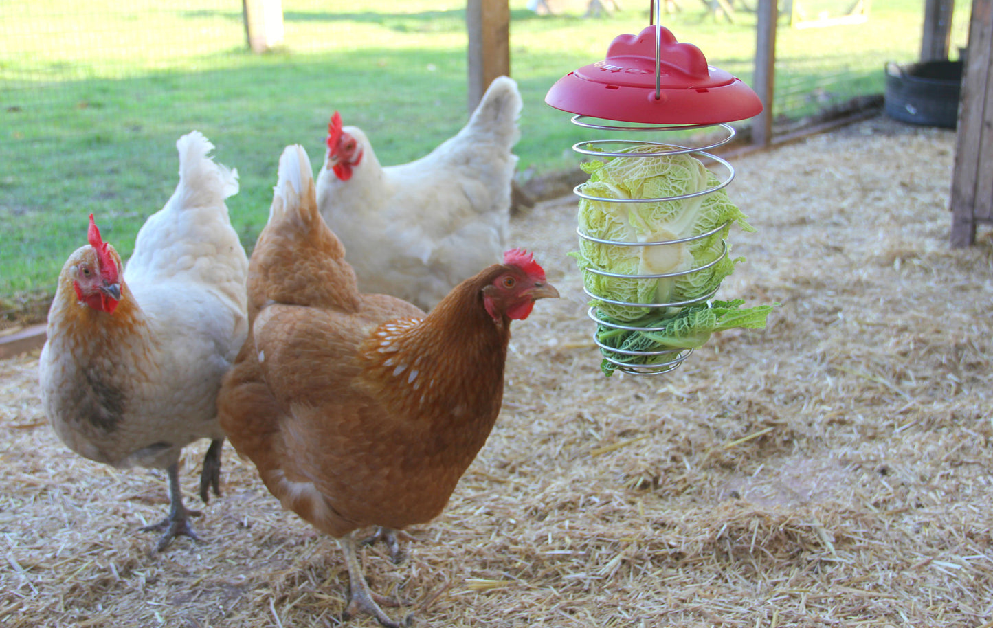 Feathers & Beaky Vegetable Holder