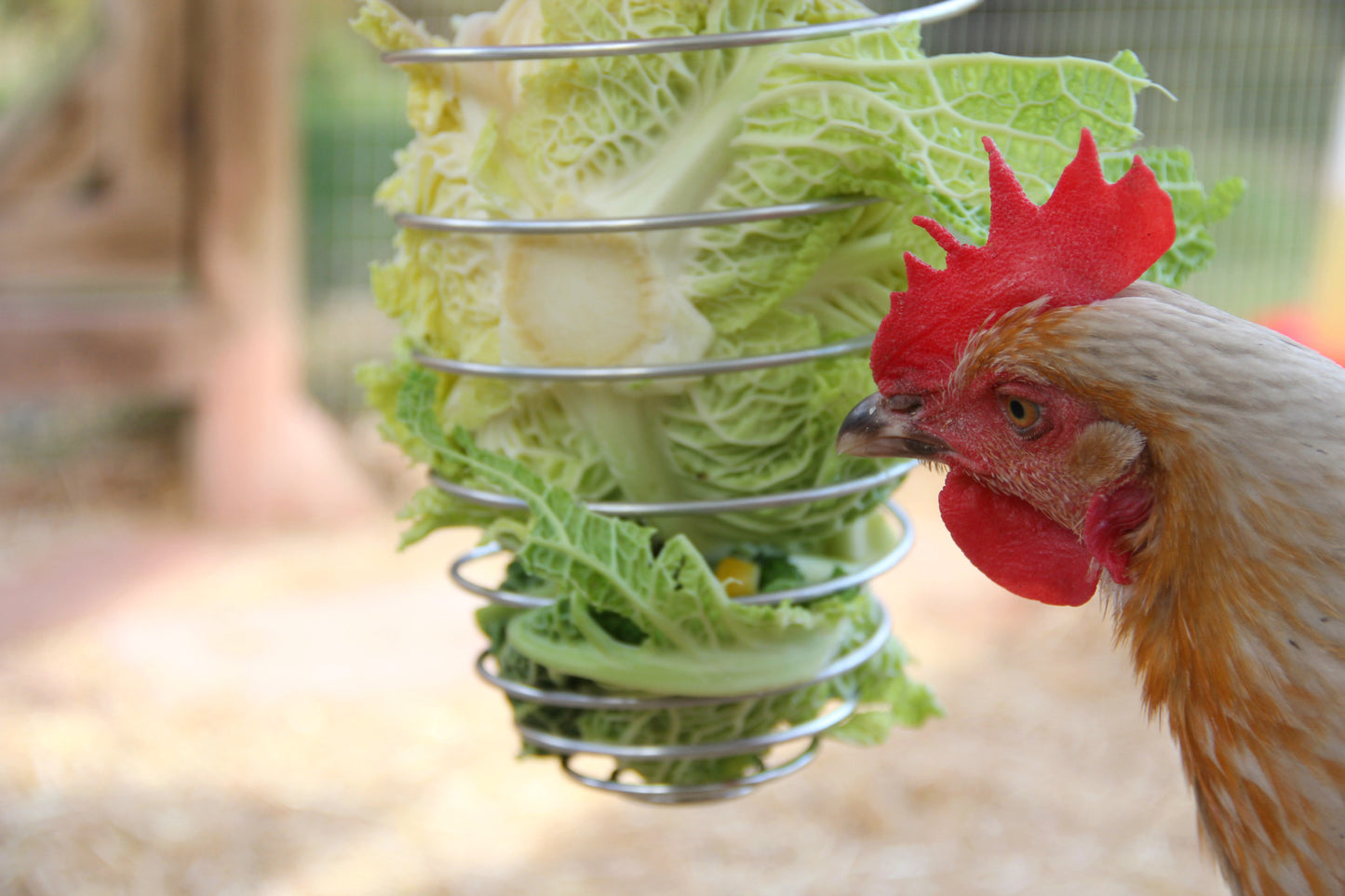 Feathers & Beaky Vegetable Holder