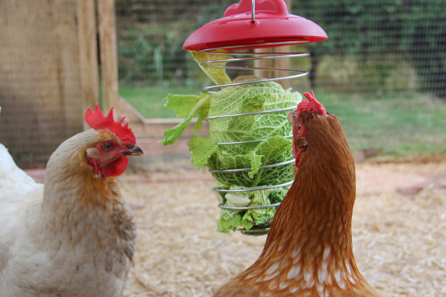 Feathers & Beaky Vegetable Holder