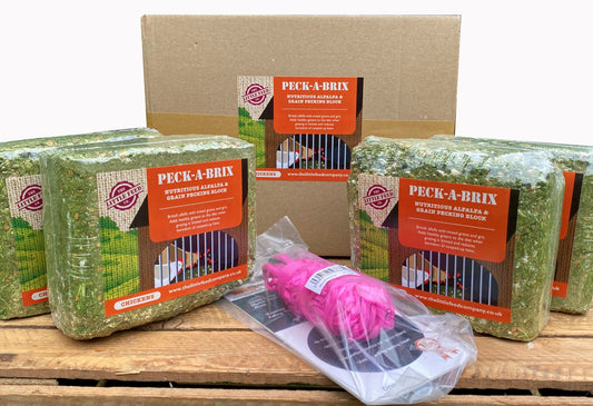 The Little Feed Co Peck-A-Brix Bundle