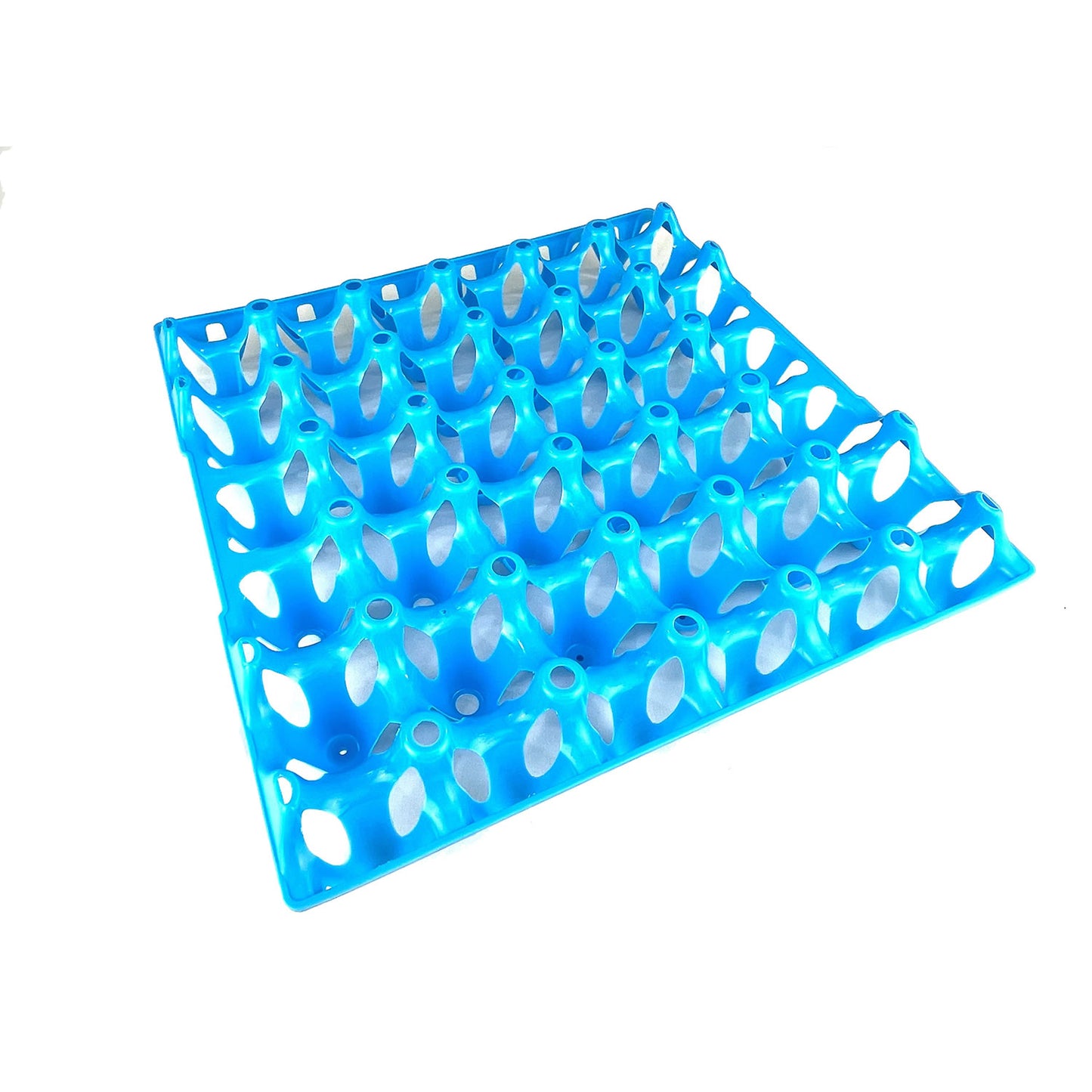 BEC Egg Tray