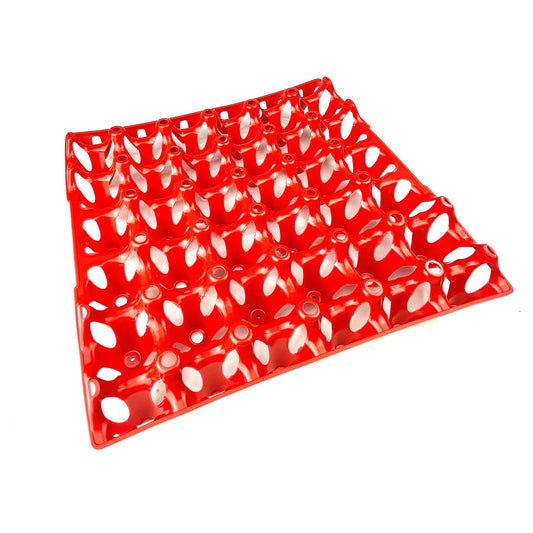 BEC Egg Tray