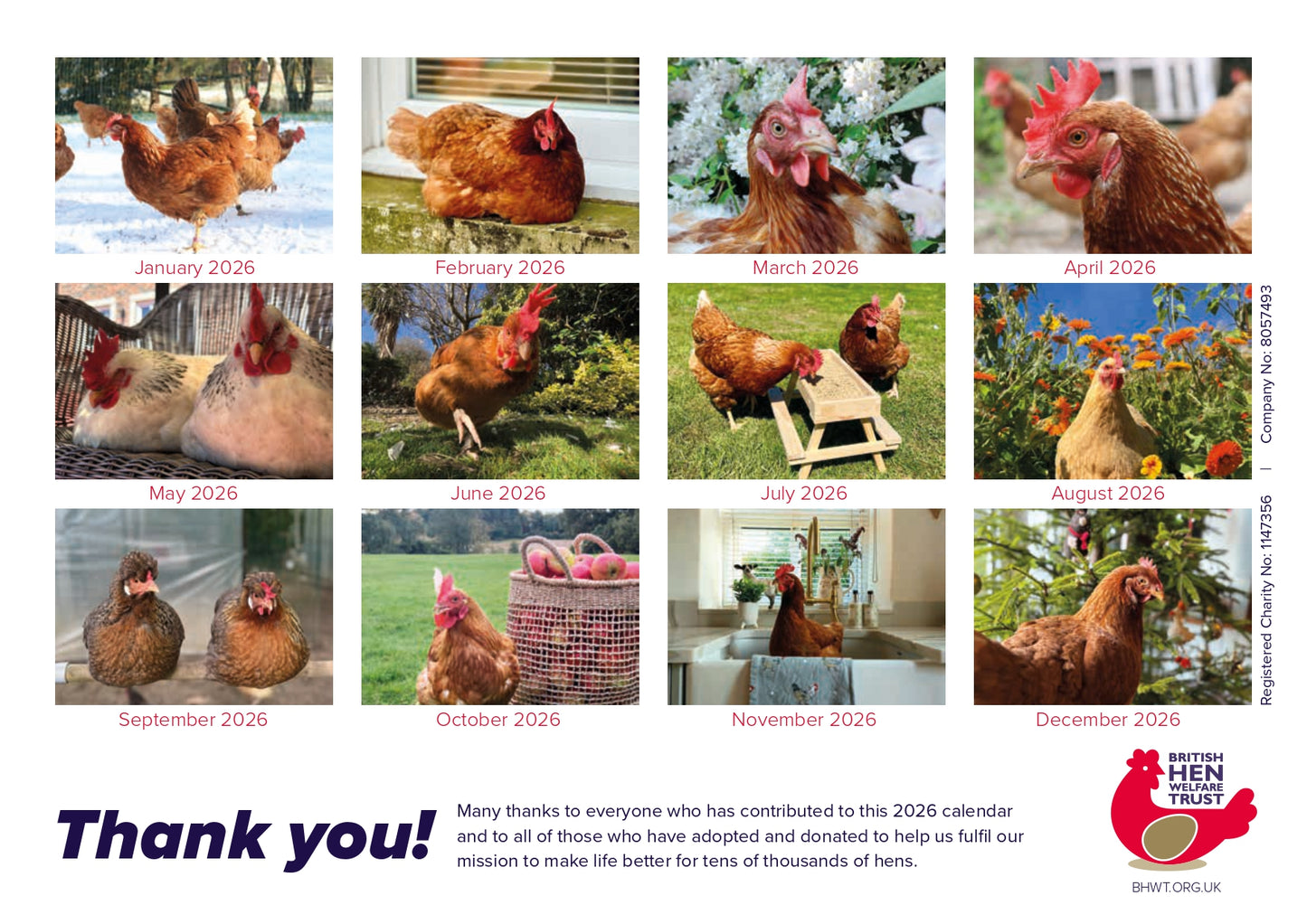 BHWT 2026 A4 Calendar - Limited Edition