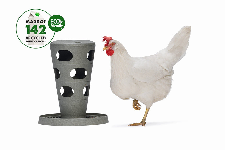 Chicken Feeders | British Hen Welfare Trust – BHWT