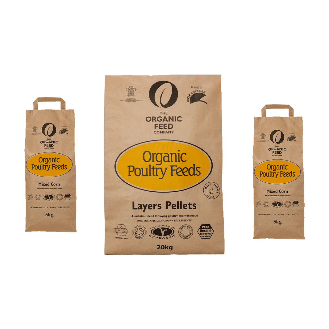 Chicken Feed | British Hen Welfare Trust – BHWT