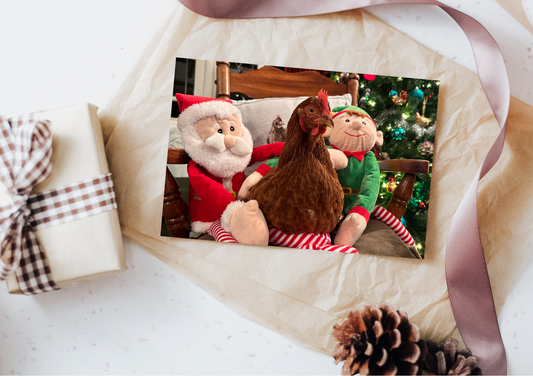 BHWT Christmas Cards 2025