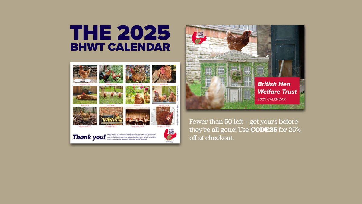 British Hen Welfare Trust Shop – BHWT