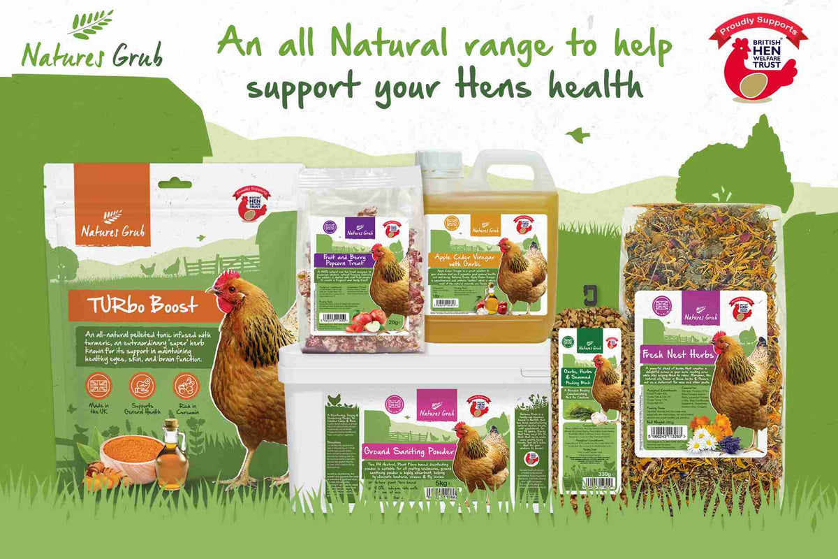 British Hen Welfare Trust Shop – BHWT