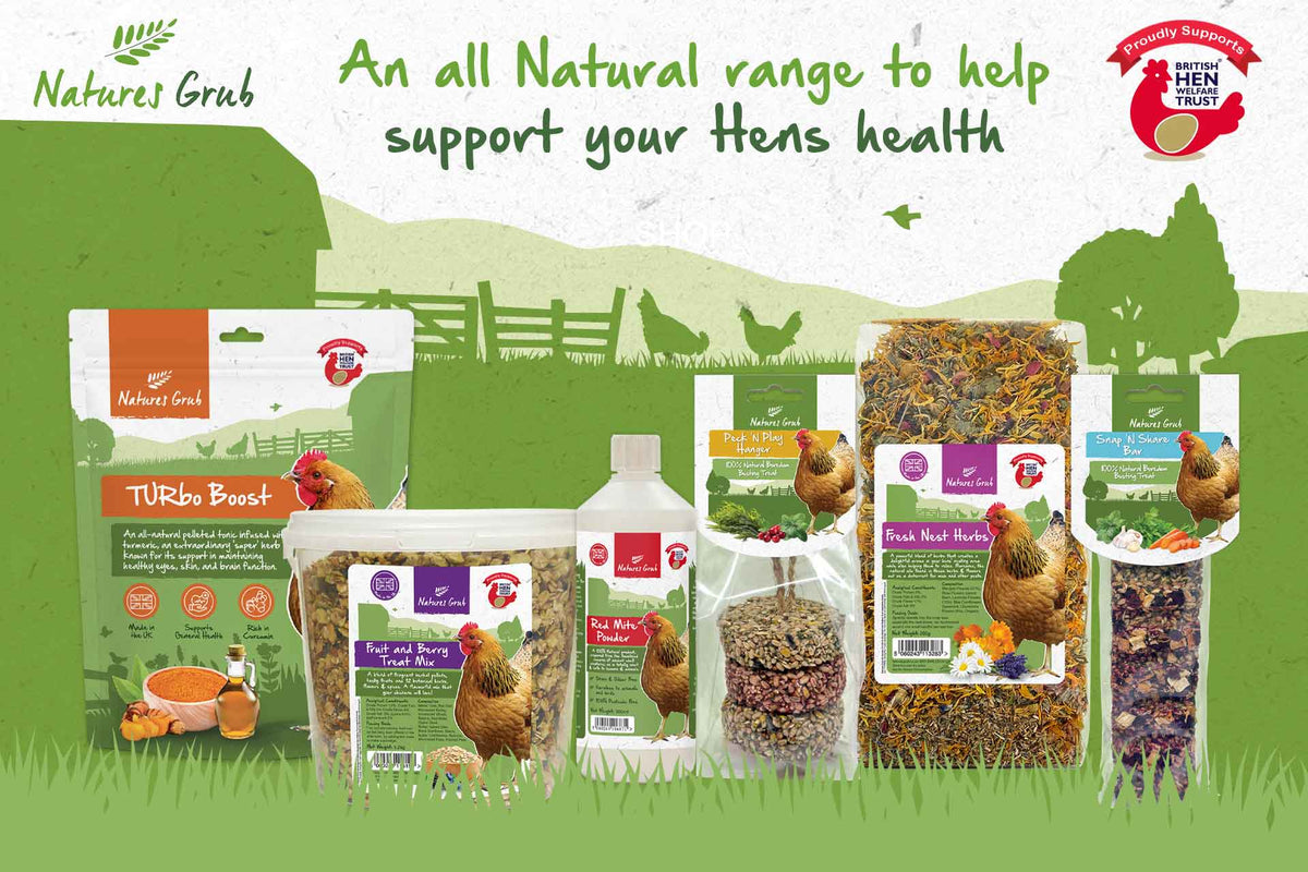 British Hen Welfare Trust Shop – BHWT