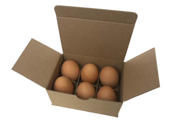 Dairi-Pak 6-Egg Corrugated Cardboard Boxes