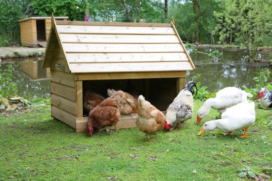 Sunnyfields Poultry Housing Dust Bath Shelter