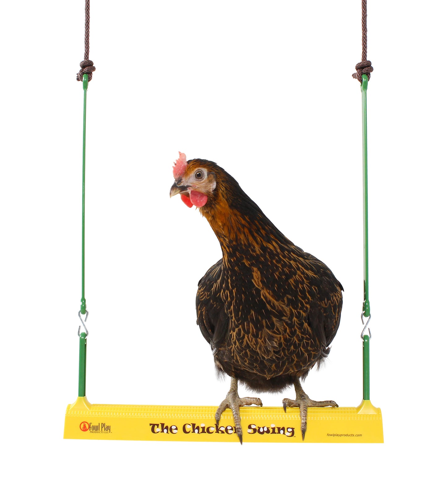 Omlet Chicken Swing