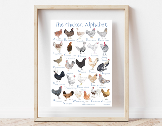 Rebekah Marshall The Chicken Alphabet A4 Print